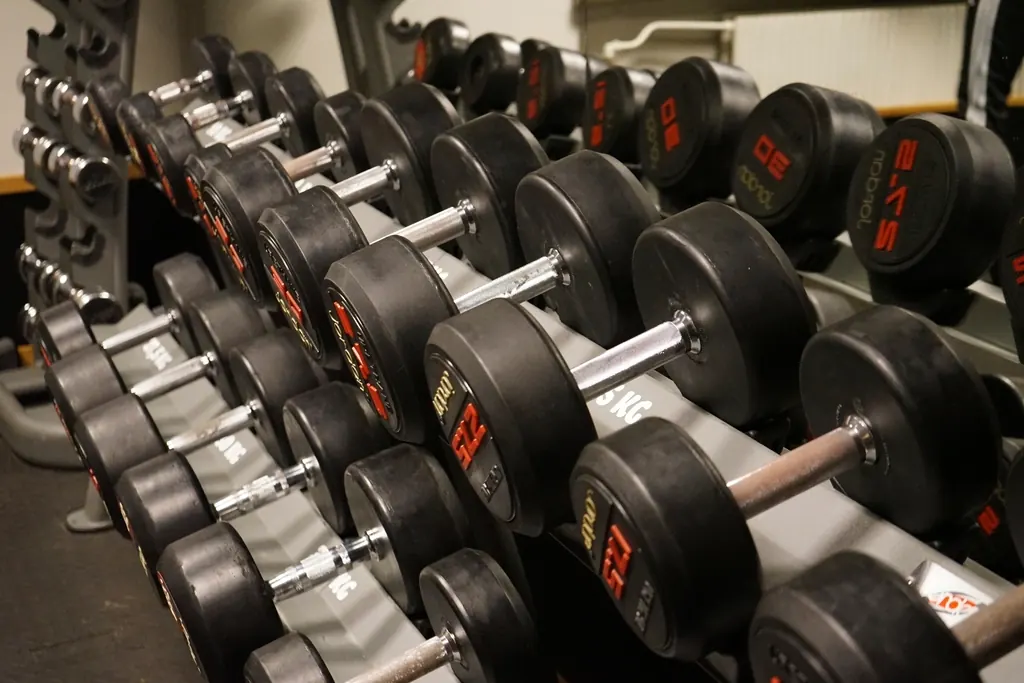 Rack de mancuernas negras en un gimnasio