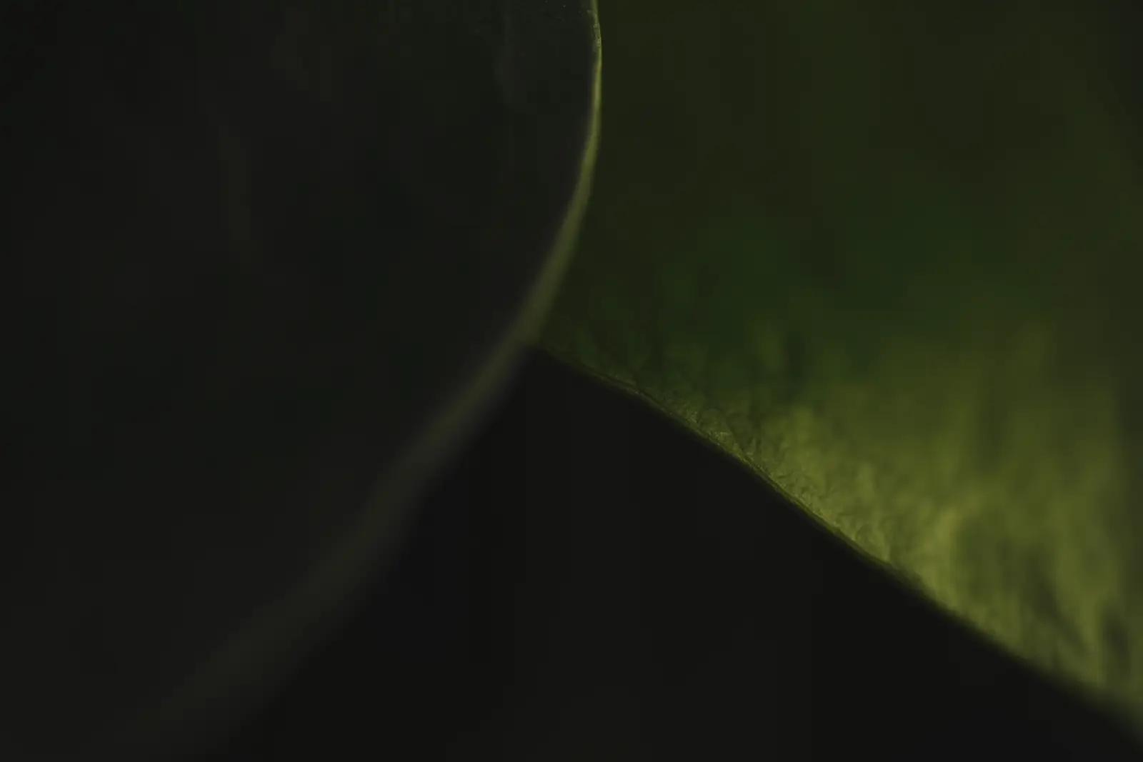 Textura oscura de hojas superpuestas